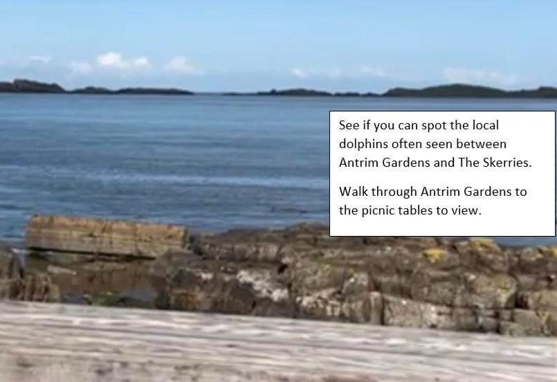 Apt3, No 2 Antrim Gardens, Portrush With Seaview Eksteriør billede